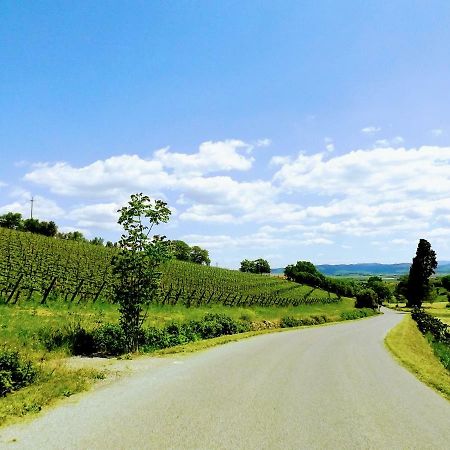 Centralissimo Nel Cuore Del Borgo Суверето Екстер'єр фото